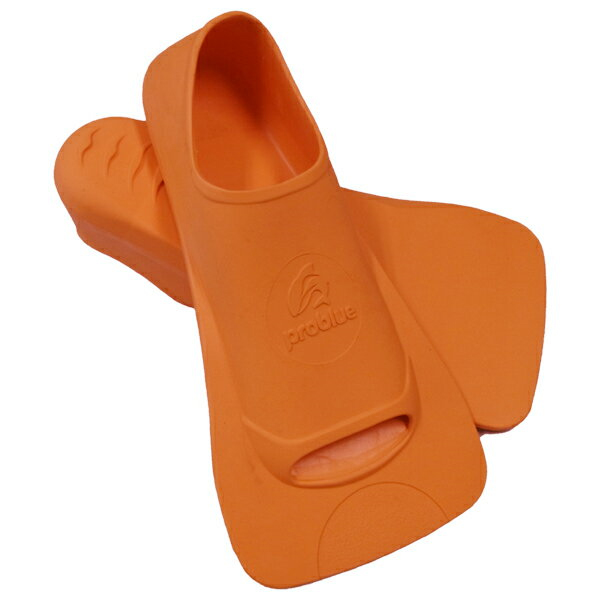 スキューバダイビング｜ダイビング｜シュノーケリング  